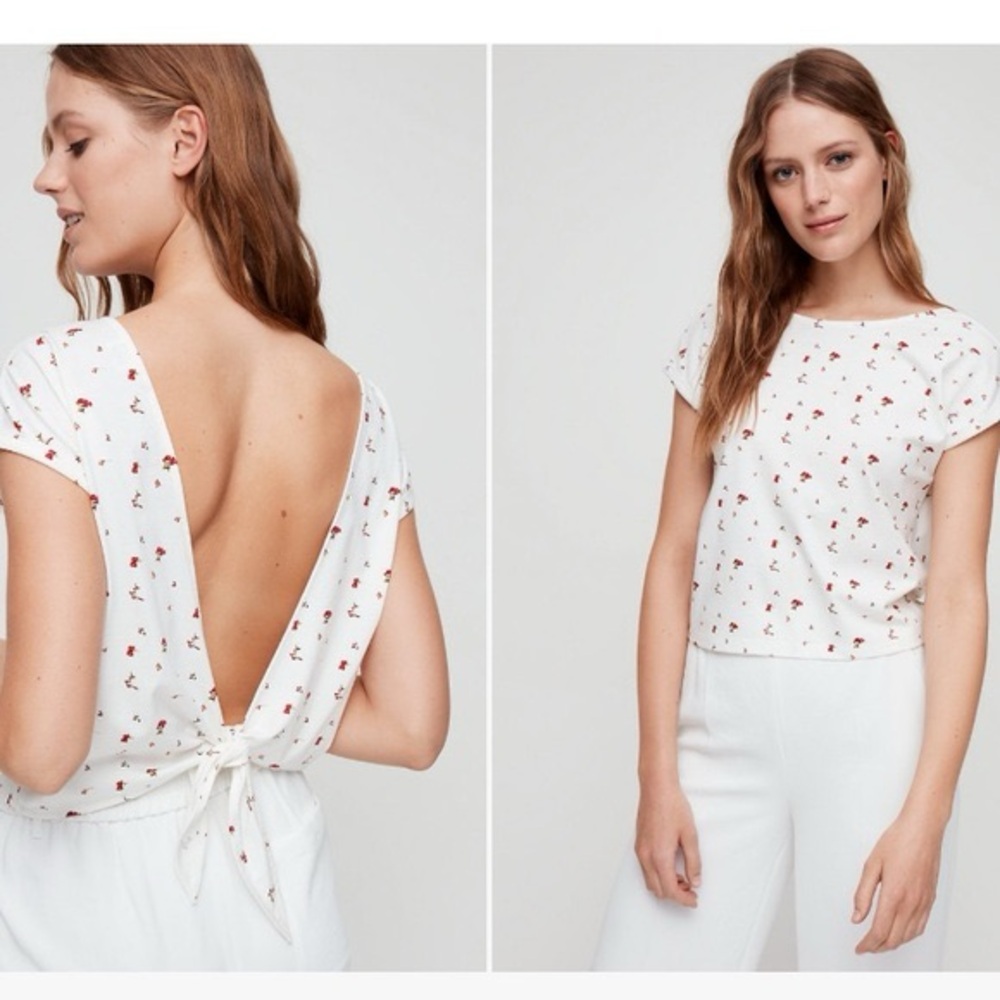 Aritzia Wilfred Top